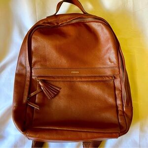 Fossil Medium Brown Backpack